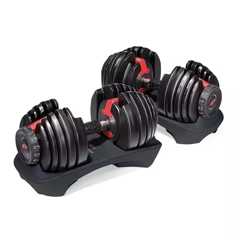 Set Dumbbell dengan Pegangan y - Home Gym Equipment Set ulasan dan harga