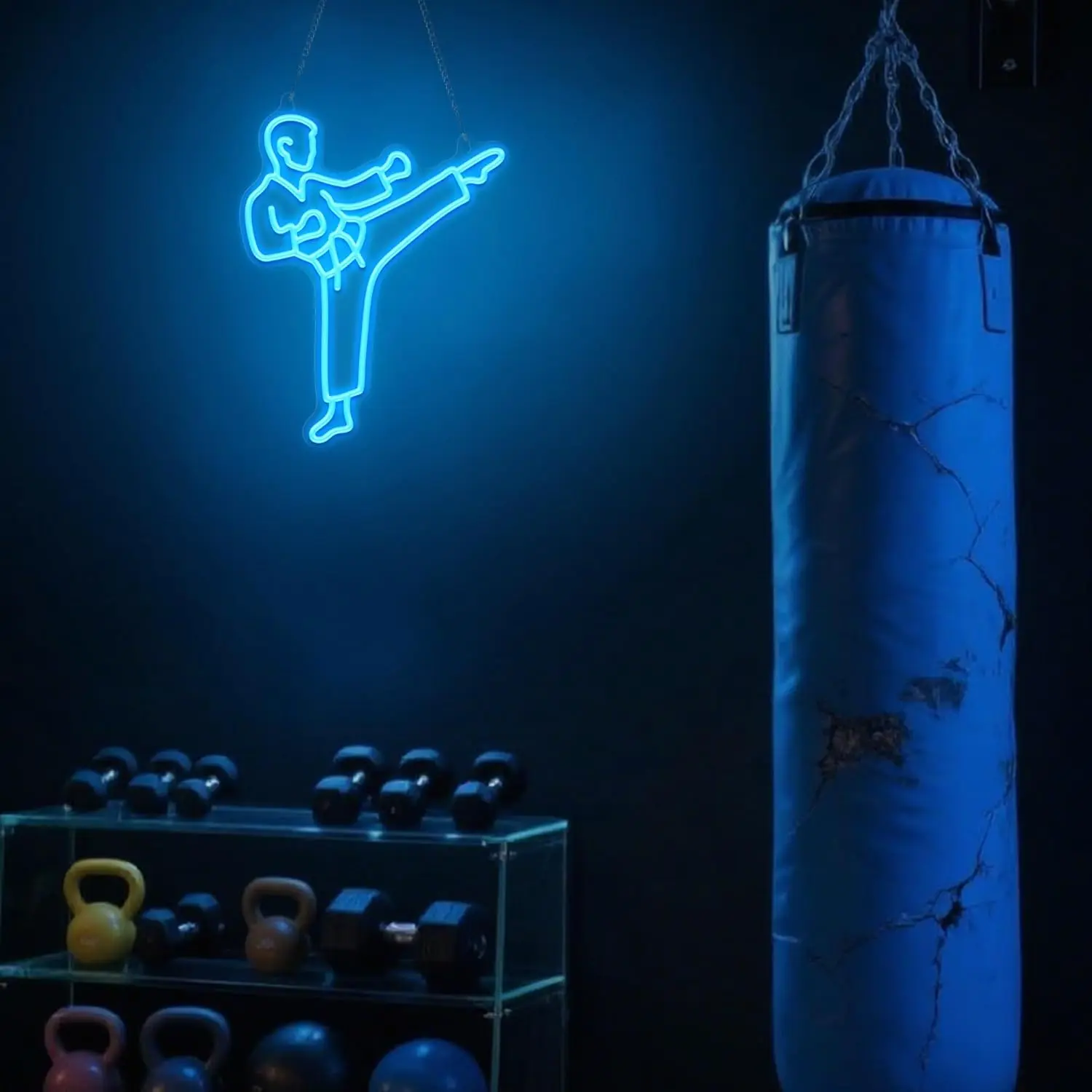 Lampu Neon Karate, Lampu LED B - Home Gym Neon Sign ulasan dan harga